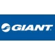 Giant Giant