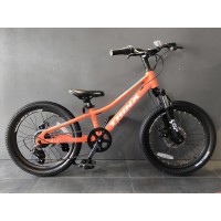 Детский велосипед Trinx Junior Smart, размер колеса 20 дюймов