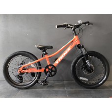 Детский велосипед Trinx Junior Smart, размер колеса 20 дюймов